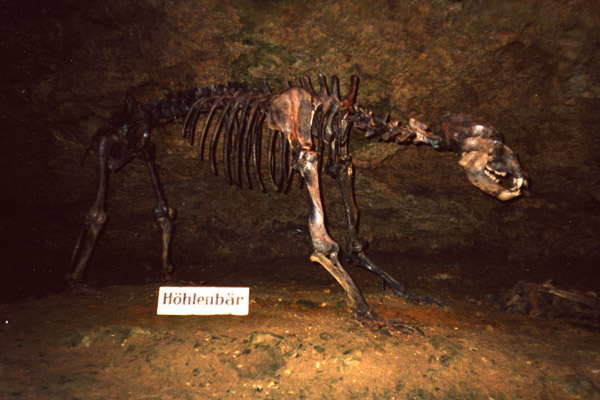 0328271 Binghöhle Streitberg