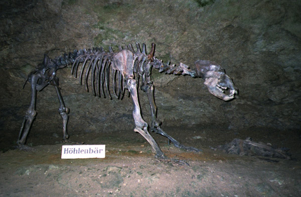 0331Binghöhle Streitberg   
