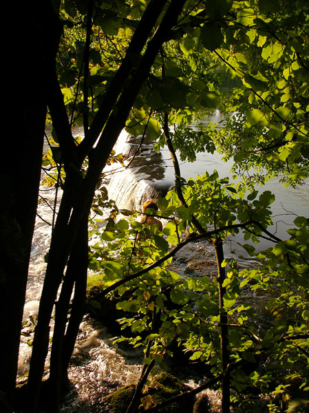 0352Wiesent bei Streitberg 