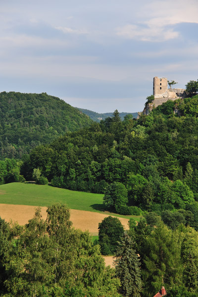 0387100 Ruine Neideck