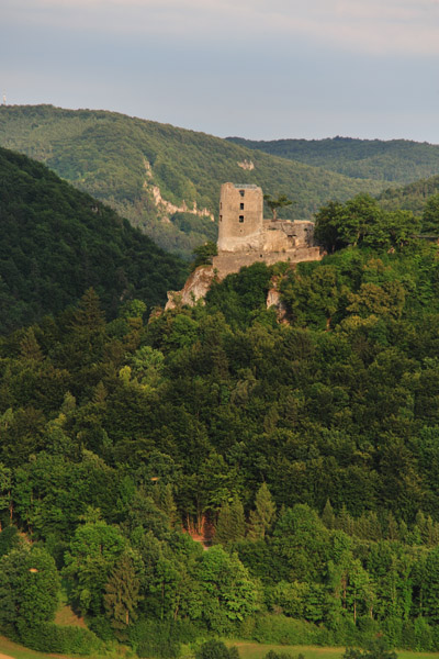 0388111 Ruine Neideck