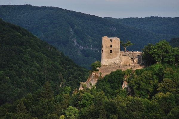 0389107 Ruine Neideck