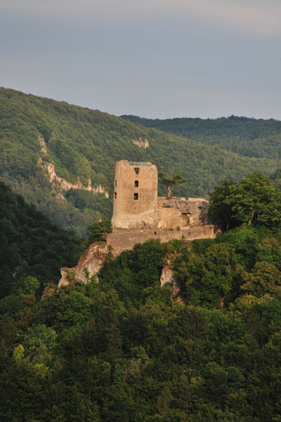 0391110 Ruine Neideck