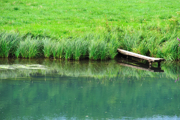 041066 Steg an der Wiesent