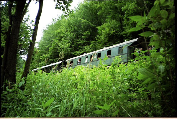 0435Entlang der Wiesent 18-2