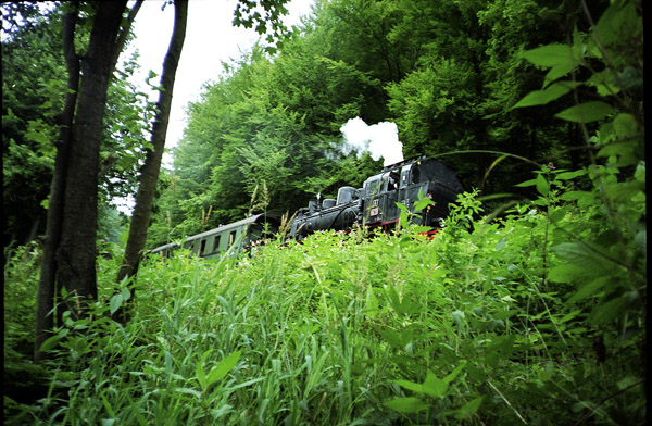 0436Entlang der Wiesent 19-2