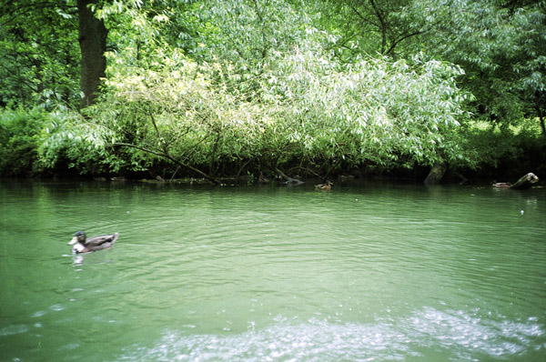 0438Entlang der Wiesent 22-2