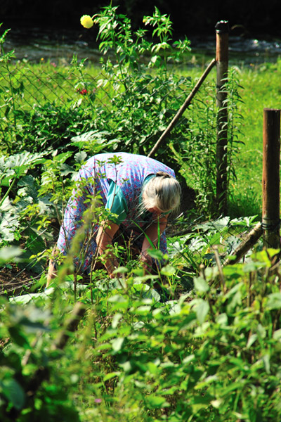 0459118 Tüchersfeld Frau im Gemüsegarten
