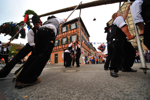 0550196 Aufstellung des Kirchweihbaums