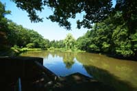 0260Hainpark in Bamberg