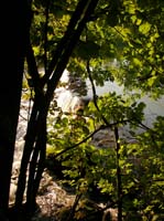 0352Wiesent bei Streitberg 