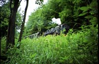 0436Entlang der Wiesent 19-2