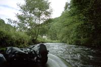 0439Entlang der Wiesent 23-2