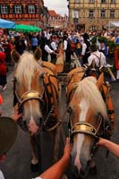 0547194 Aufstellung des Kirchweihbaums