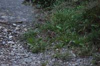 073.Reise